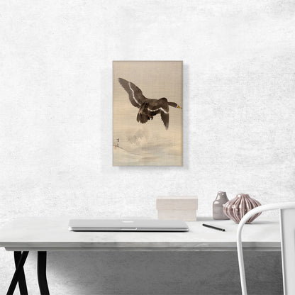 Flying Goose