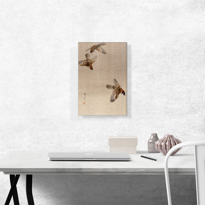 Sparrows