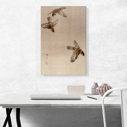 Sparrows