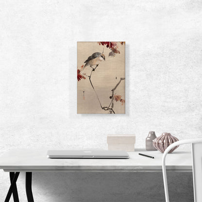 Bird On Branch Watching Spider 1887