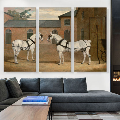 Grey Carriage Horses in the Coachyard at Putteridge Bury Hertfordshire