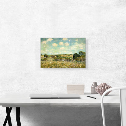 Meadow 1875