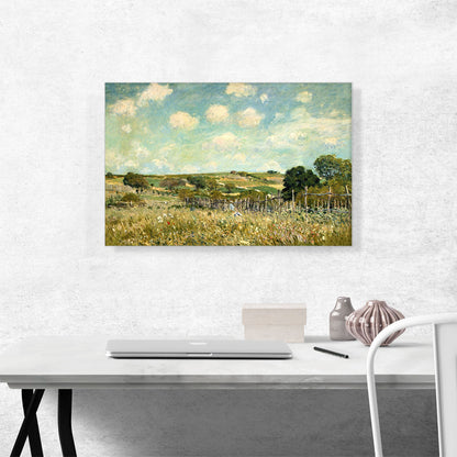 Meadow 1875
