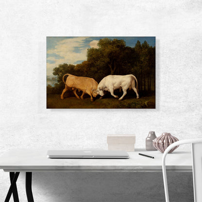 Bulls Fighting 1786