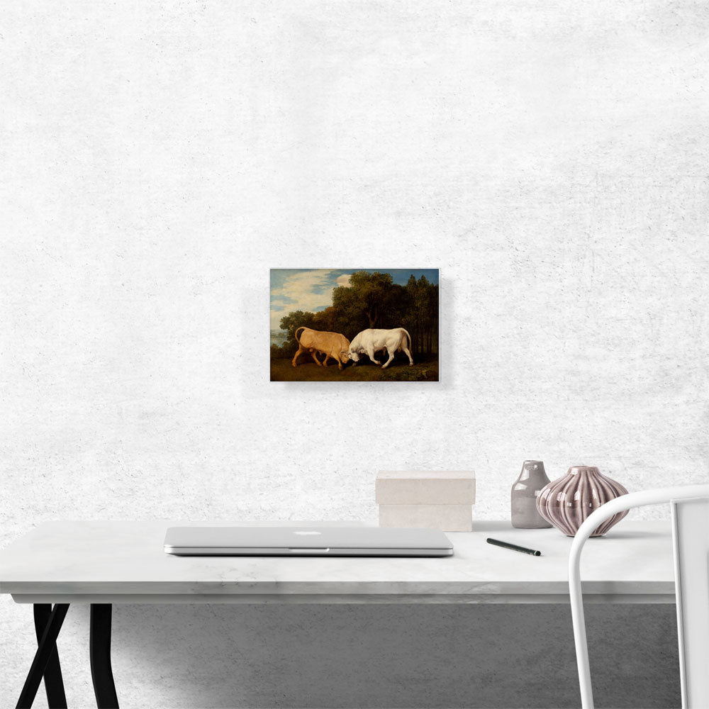Bulls Fighting 1786