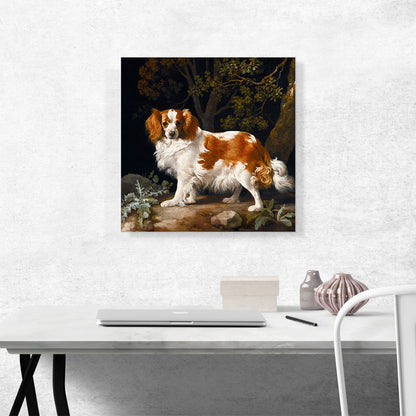 King Charles Spaniel