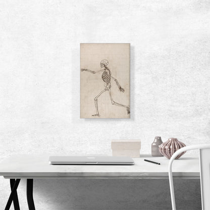 Study of the Human Figure - Lateral View