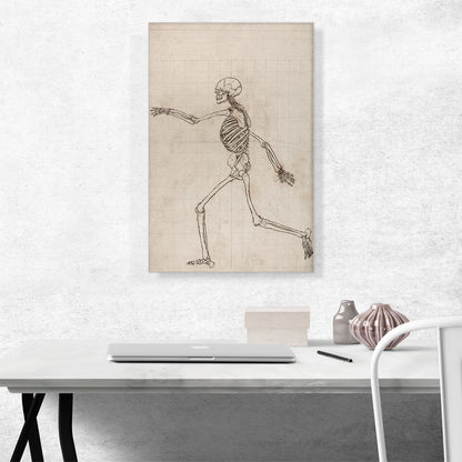Study of the Human Figure - Lateral View