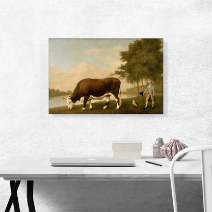 The Lincolnshire Ox