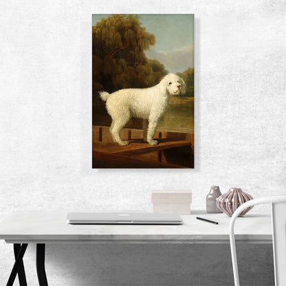 White Poodle in a Punt 1780