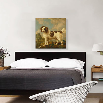 Brown and White Norfolk - Water Spaniel 1778