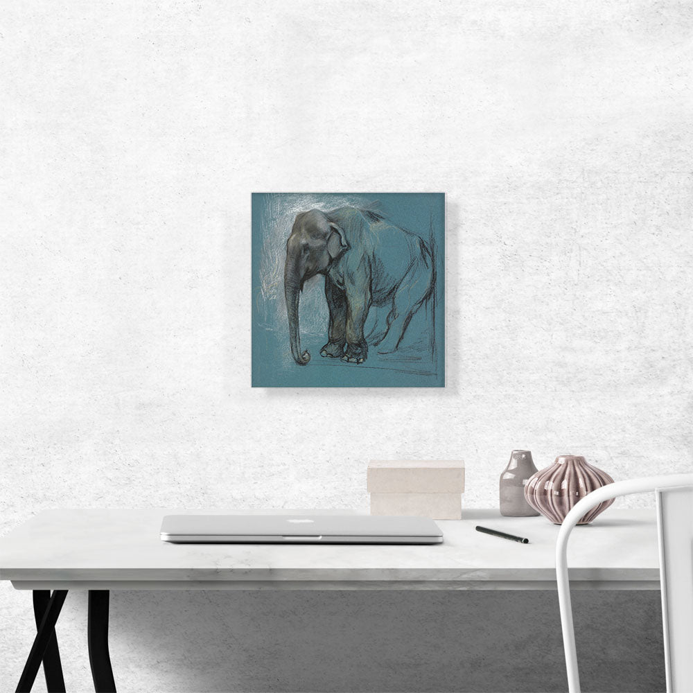 Study Of An Elephant