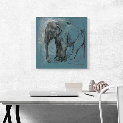 Study Of An Elephant