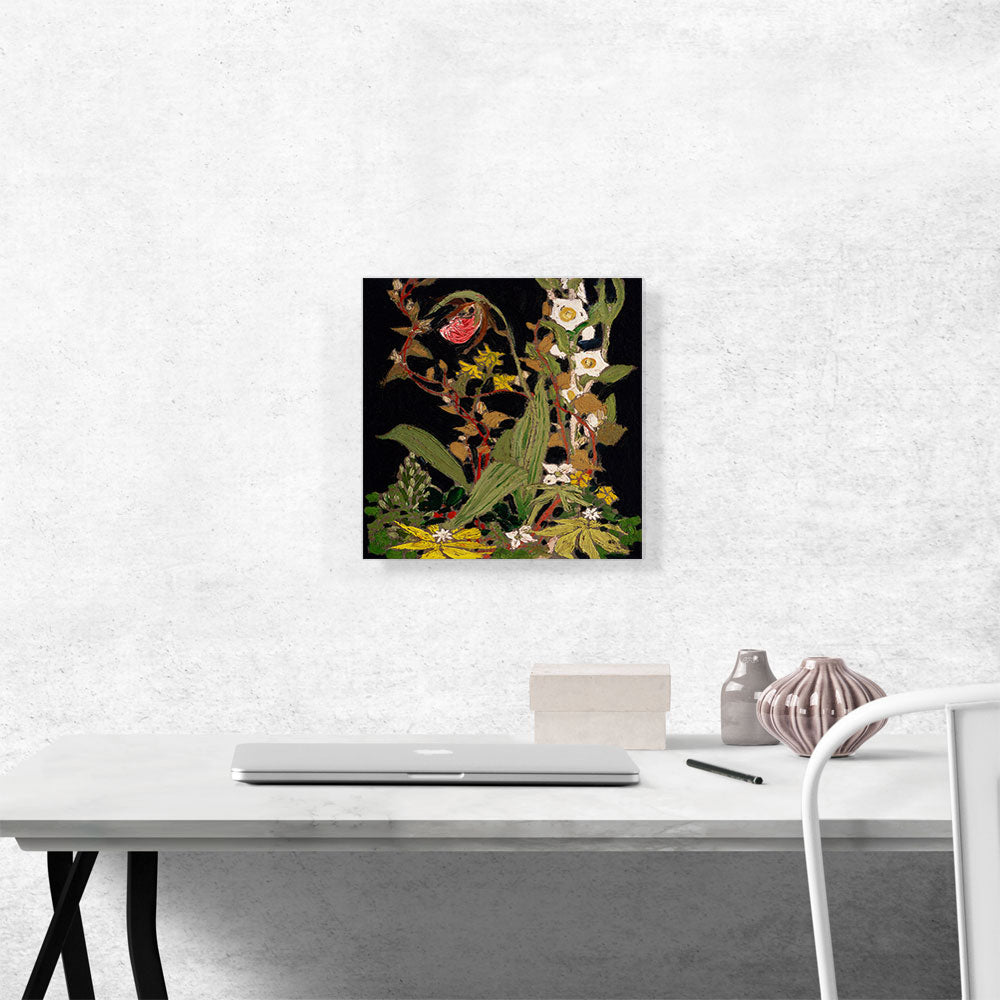 Moccasin Flower Spring 1916