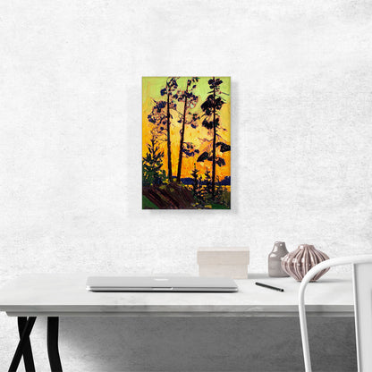 Pine Trees At Sunset Summer 1915