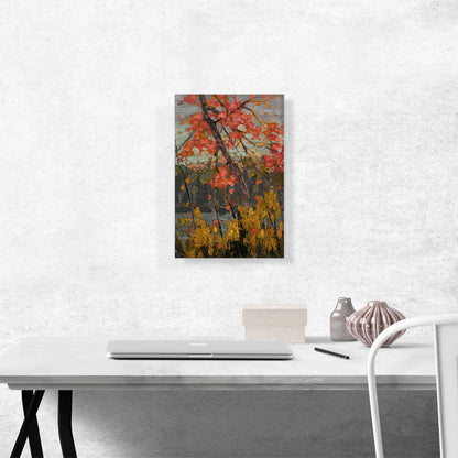 Twisted Maple Red Tree Fall 1914