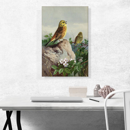 A Pair Of Yellowhammers 1914