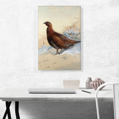 A Red Grouse In The Snow 1909