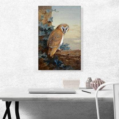 A Barn Owl 1916