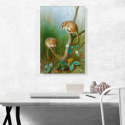 Dormice 1903