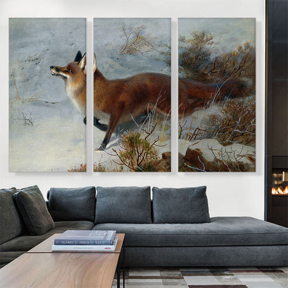 Fox