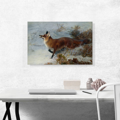 Fox