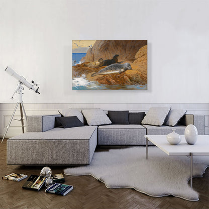 Grey And Harbour Seals At Rest 1912