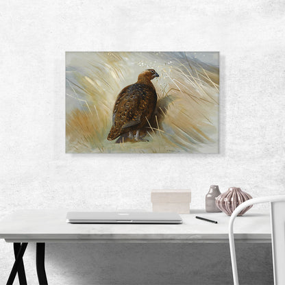 Grouse 1897