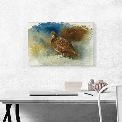 Grouse