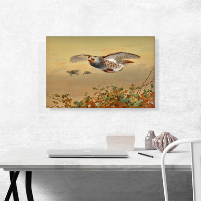 Partridge In Flight 1898