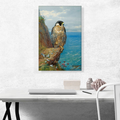 Peregrine At Auchencairn 1923