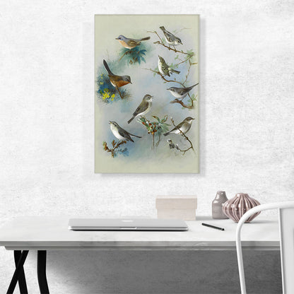 Warbler and Wrens 1913
