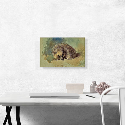 A Hedgehog