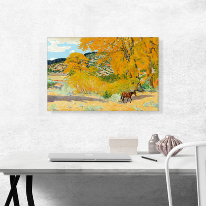 Autumn In Taos Canyon