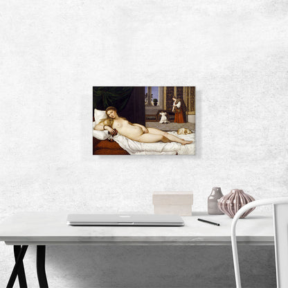Venus Of Urbino