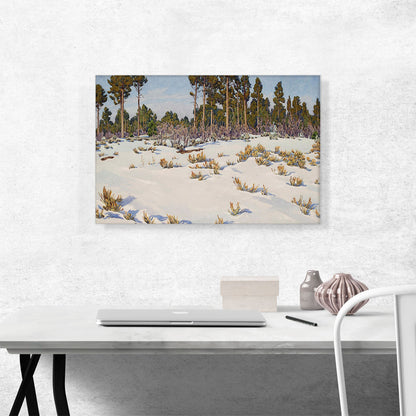 Snow Forest In Grand Canyon