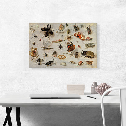 A Study Of Butterflies Moths Spiders And Insects