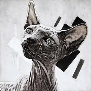 CATS Canvas Art Prints