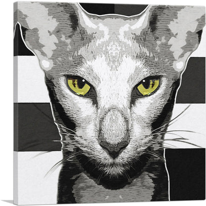 Oriental Shorthair Cat Breed Greyscale
