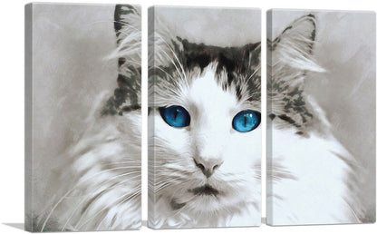 Ragdoll Cat Breed Blue Eyes