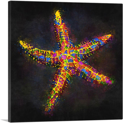 Starfish Sea Ocean