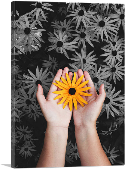 1-panel