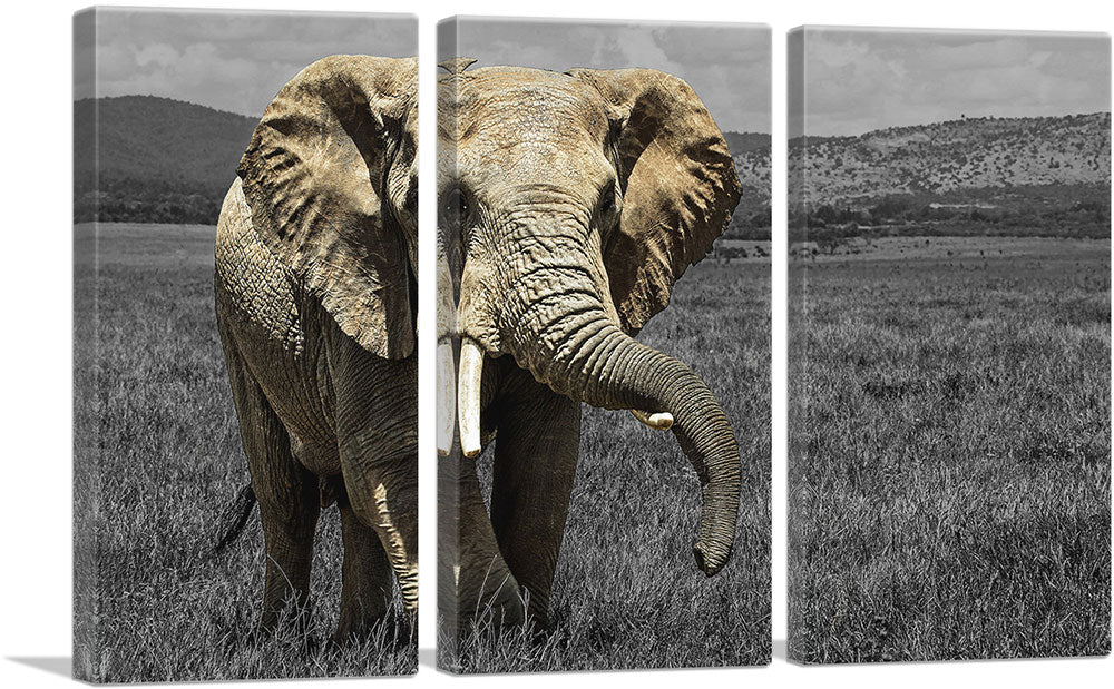 3-panel