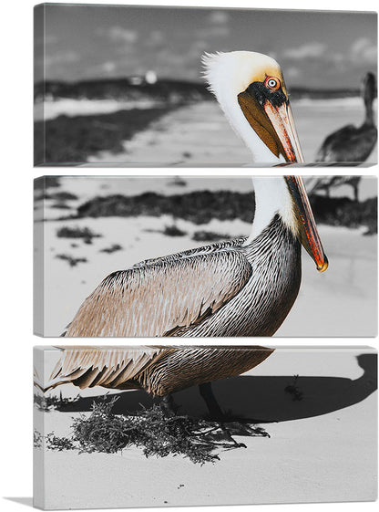 Pelican On The Sea Beach