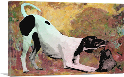 Pointer Dog Breed