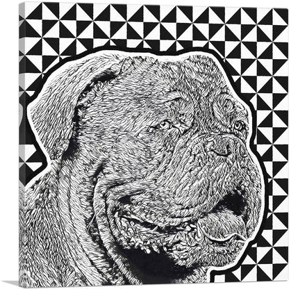 1-panel