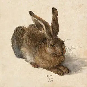 ALBRECHT DURER Canvas Art Prints