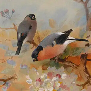 ARCHIBALD THORBURN Canvas Art Prints