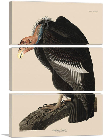 3-panel