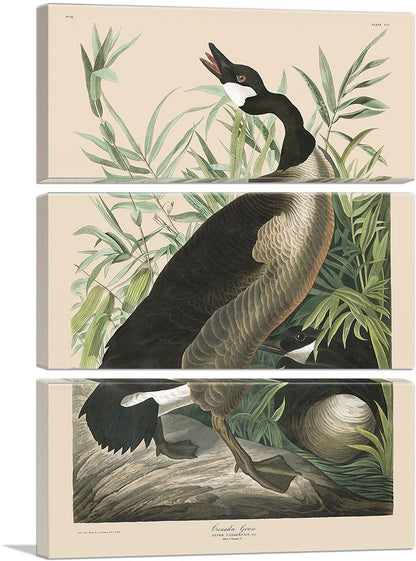 3-panel